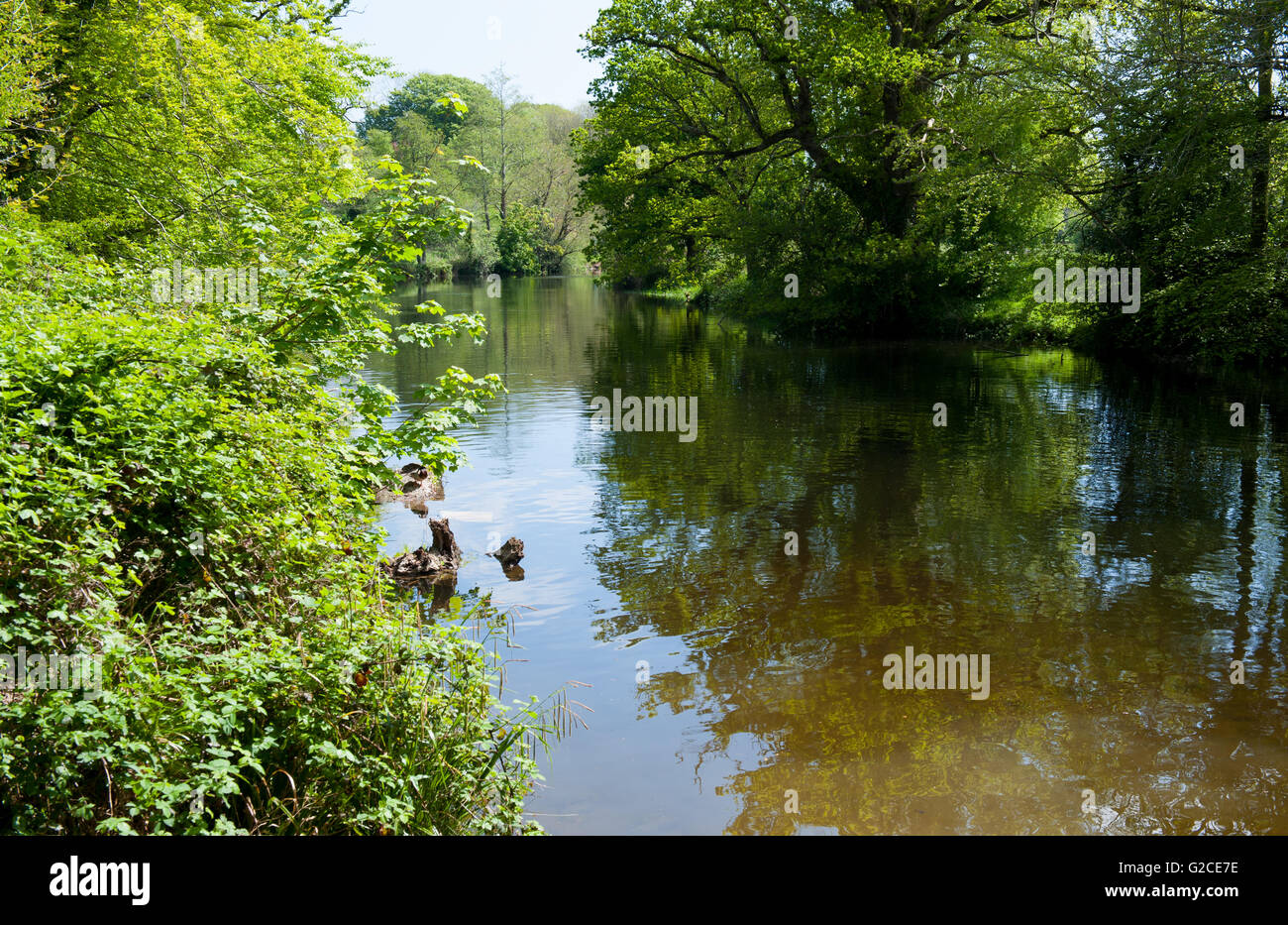 River liffey kildare hi-res stock photography and images - Alamy