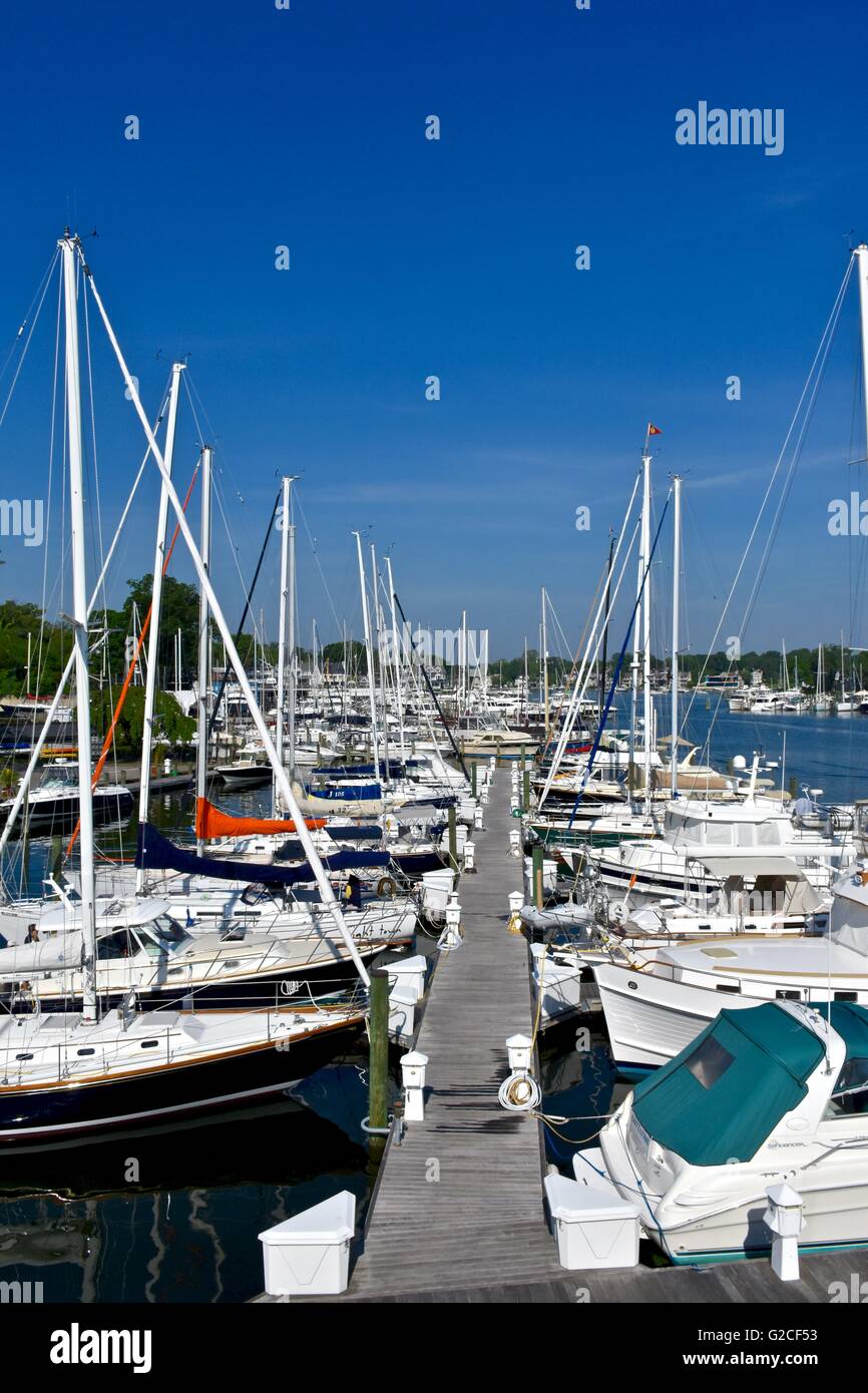 Sail boats lined on a dock with tall masts Stock Photo