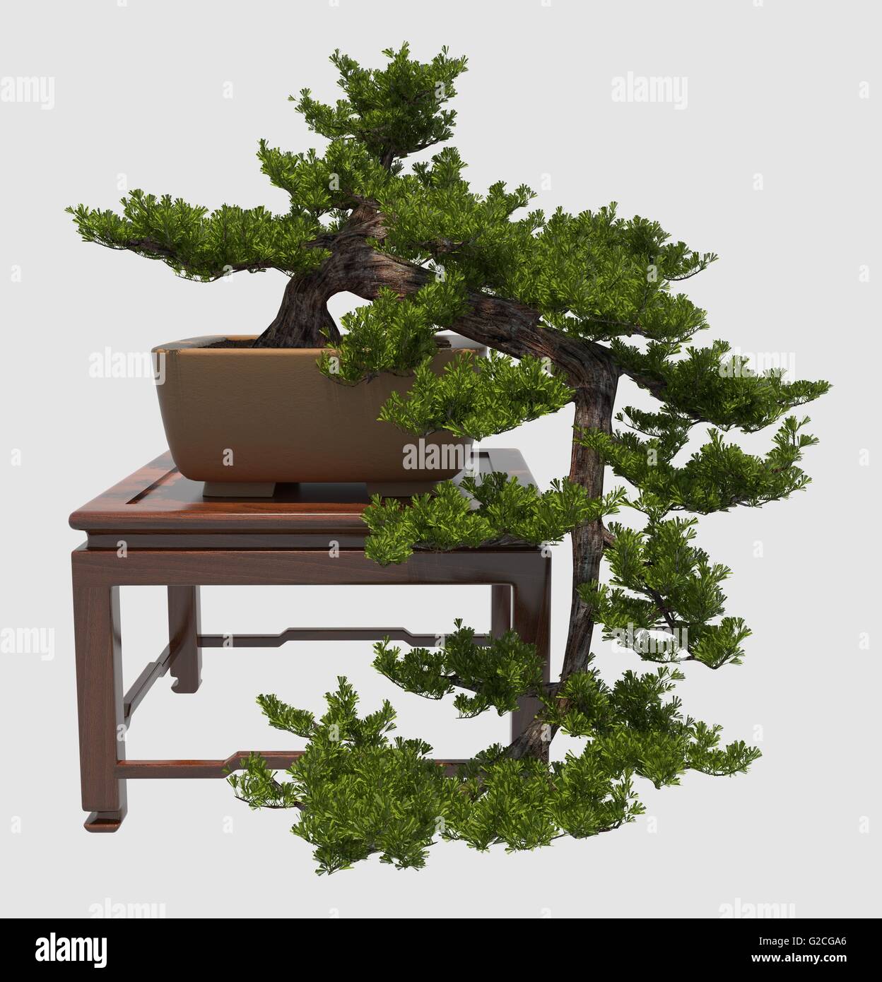 Illustration Bonsai Tree Isolated On White Stock Photo - Alamy