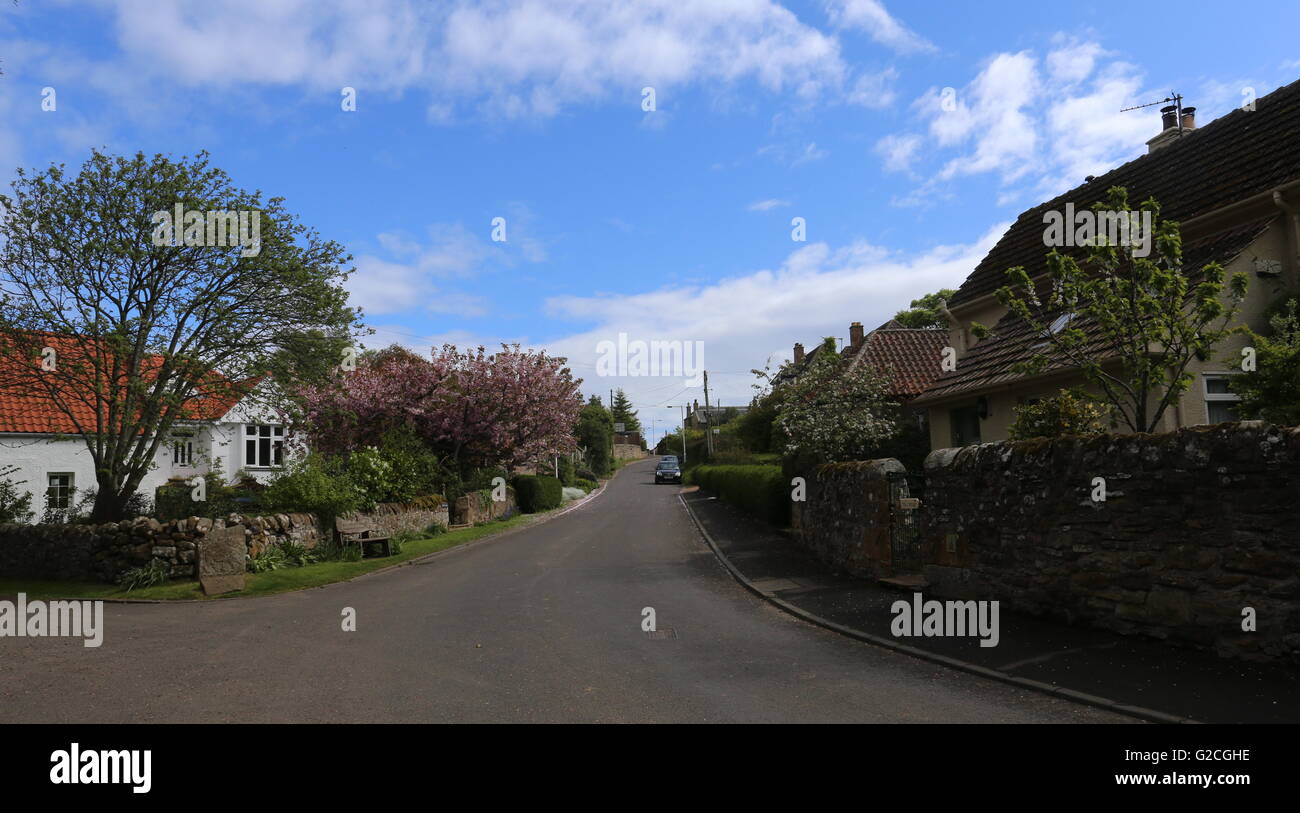 Boarhills street scene Fife Scotland May 2016 Stock Photo Alamy