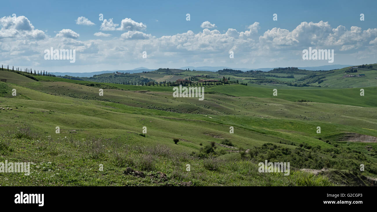 Tuscan panorama hi-res stock photography and images - Alamy