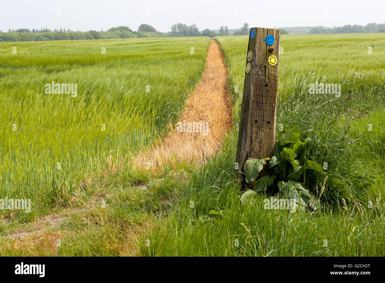 Country walking path with sign. Stock Photo