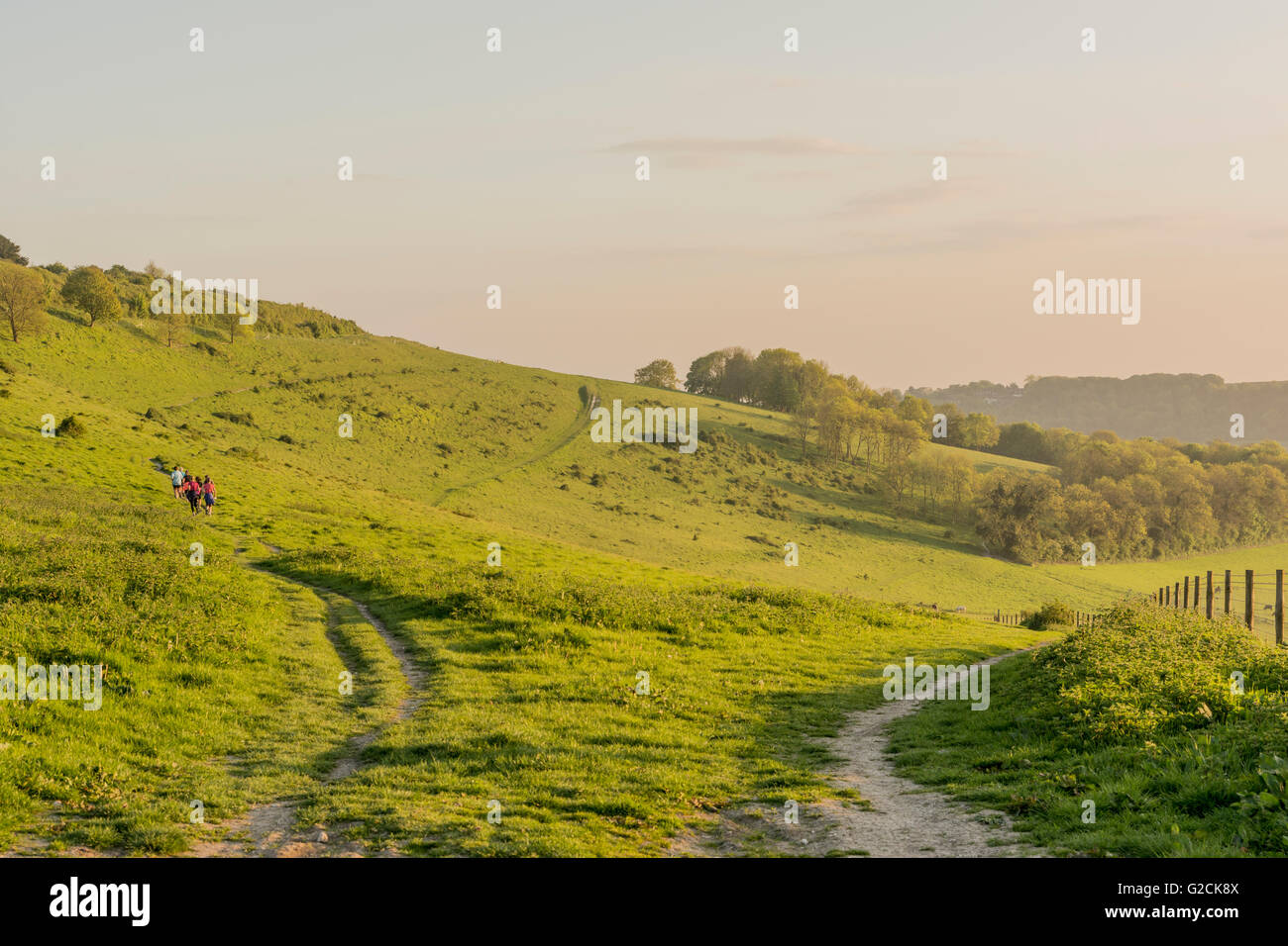 Buckland Rings Runners on the northern ramparts of the ancient iron age hill fort of ...