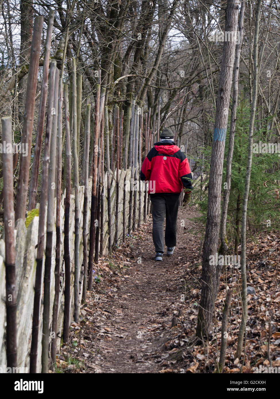 Hiker walking down footpath hi-res stock photography and images - Alamy