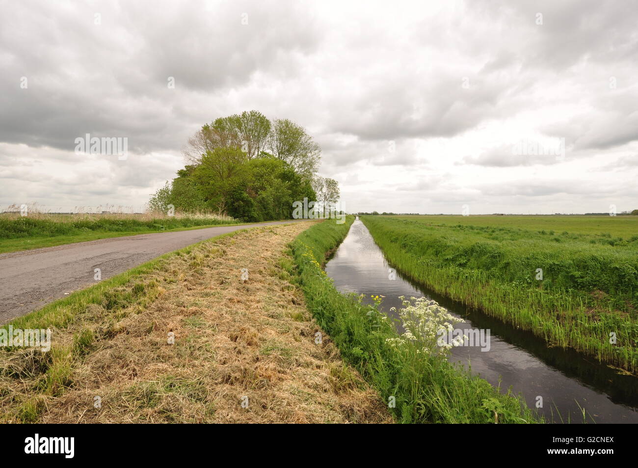 East of Holme looking east of OS Grid 208900, Cambridgeshire Fens England Stock Photo
