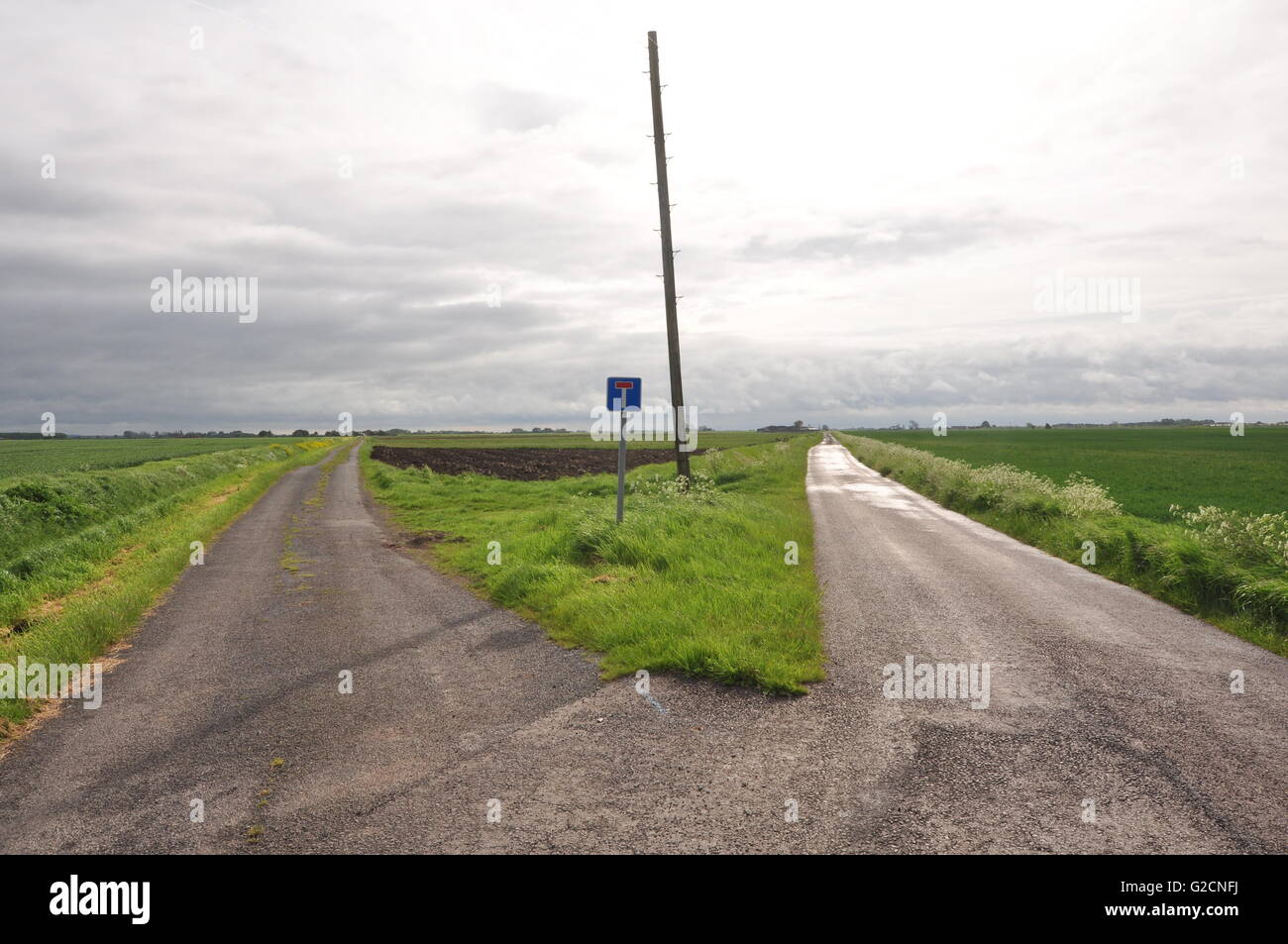 East of North Kyme, looking east from OS grid 173522, Lincolnshire fens