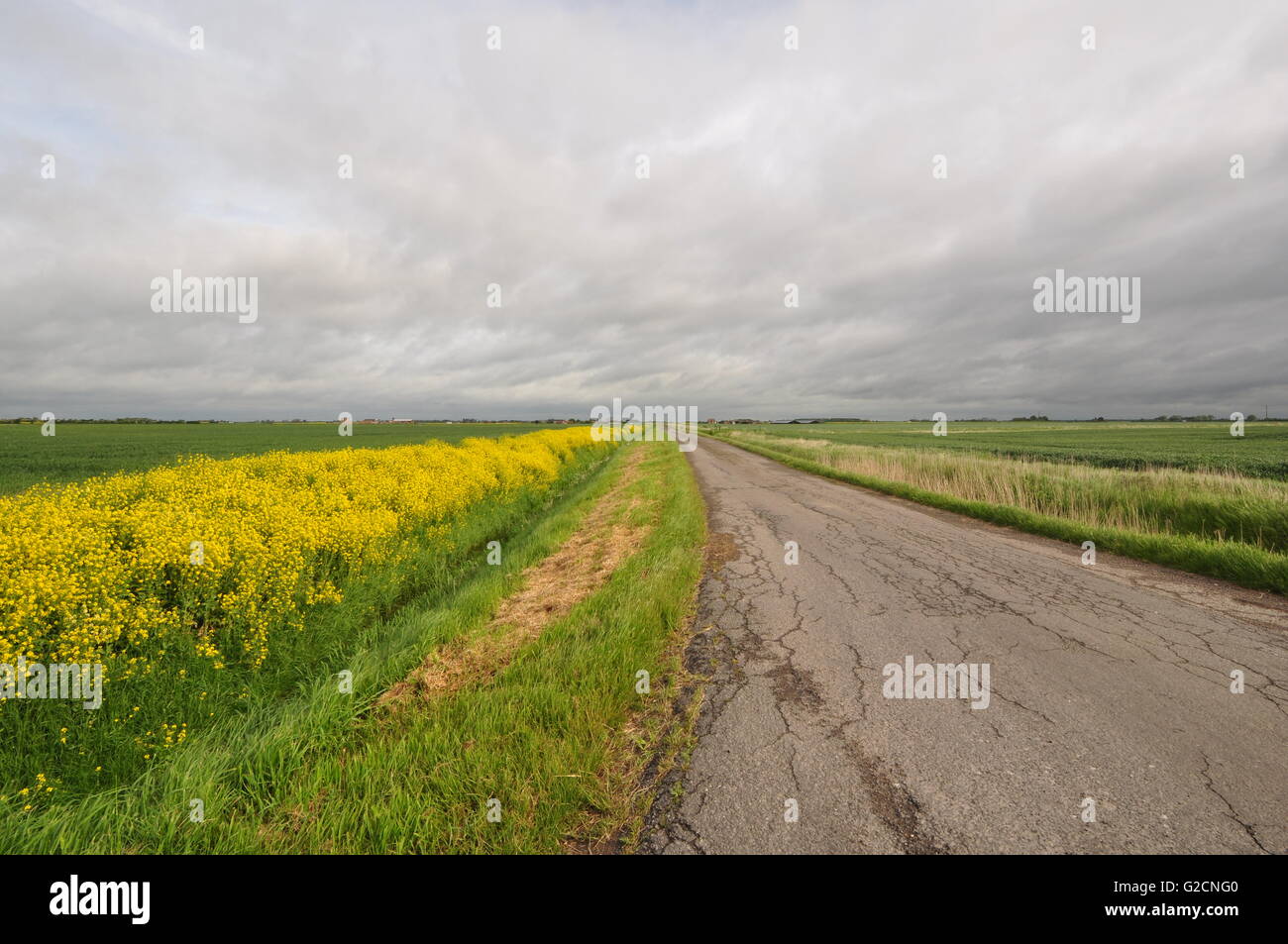 East of North Kyme, looking north from OS grid 173522, Lincolnshire