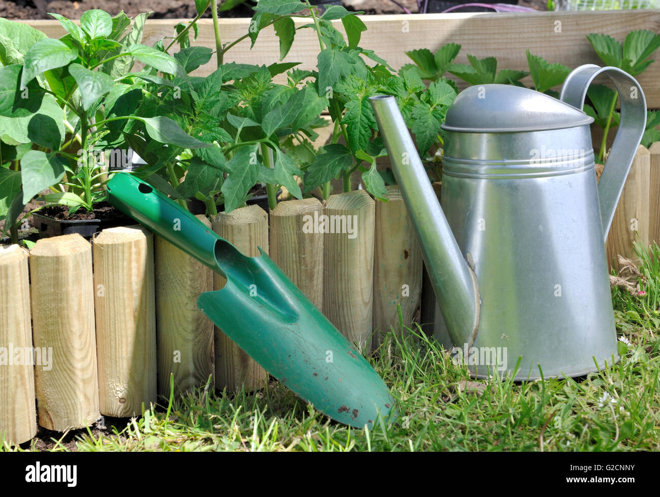 shovel and watering can against a wooden edge of a garden Stock Photo