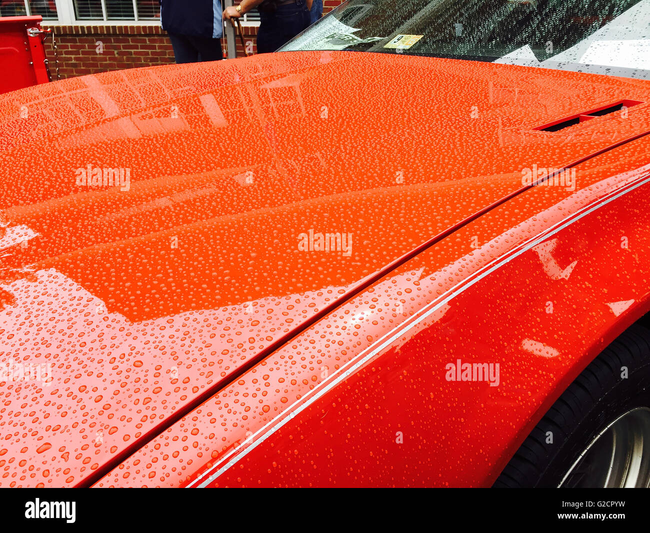 Red sport car hood with water droplets and reflection Stock Photo Alamy