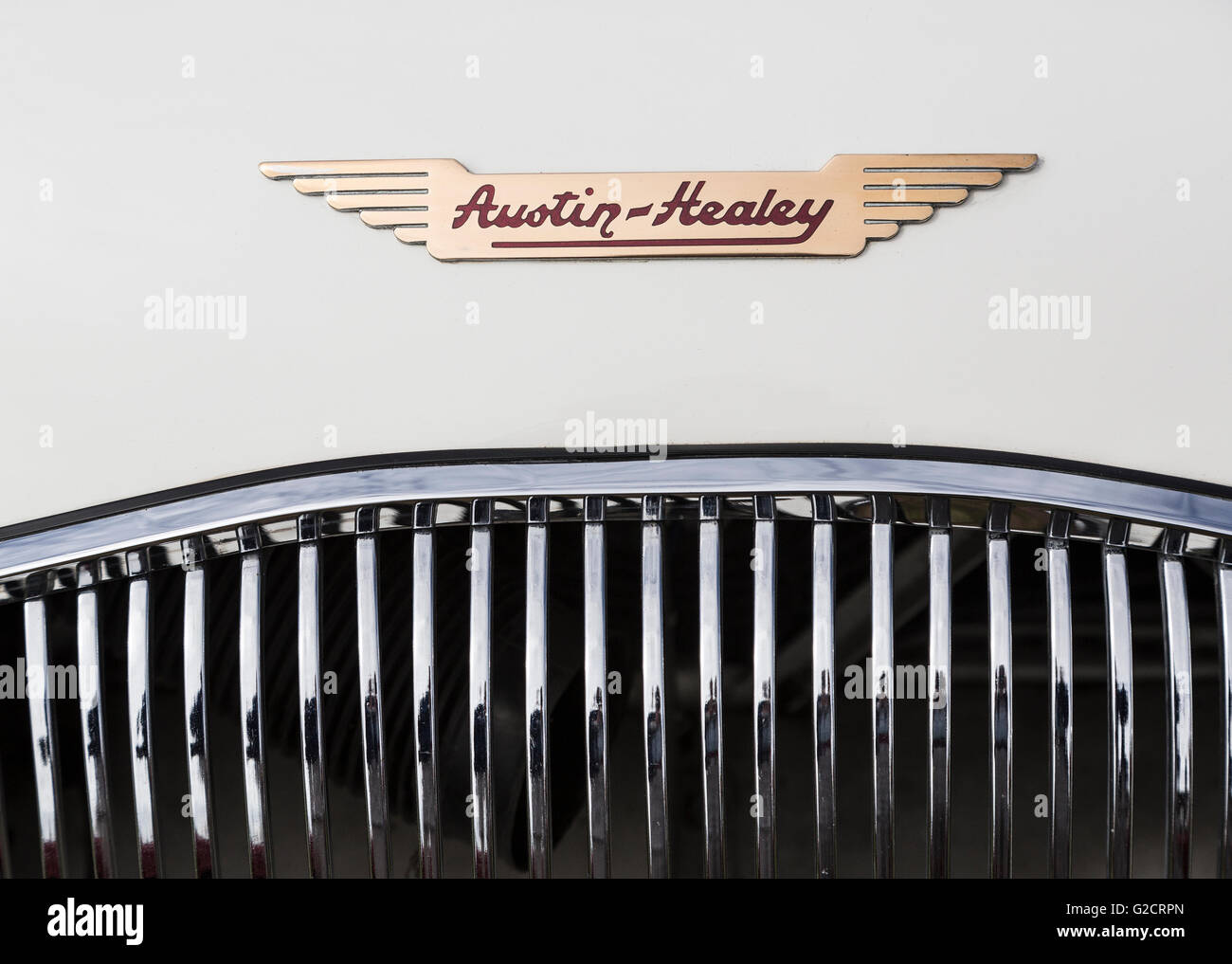 Austin-Healey badge on bonnet of classic vintage car at rally, Abergavenny, Wales, UK Stock Photo