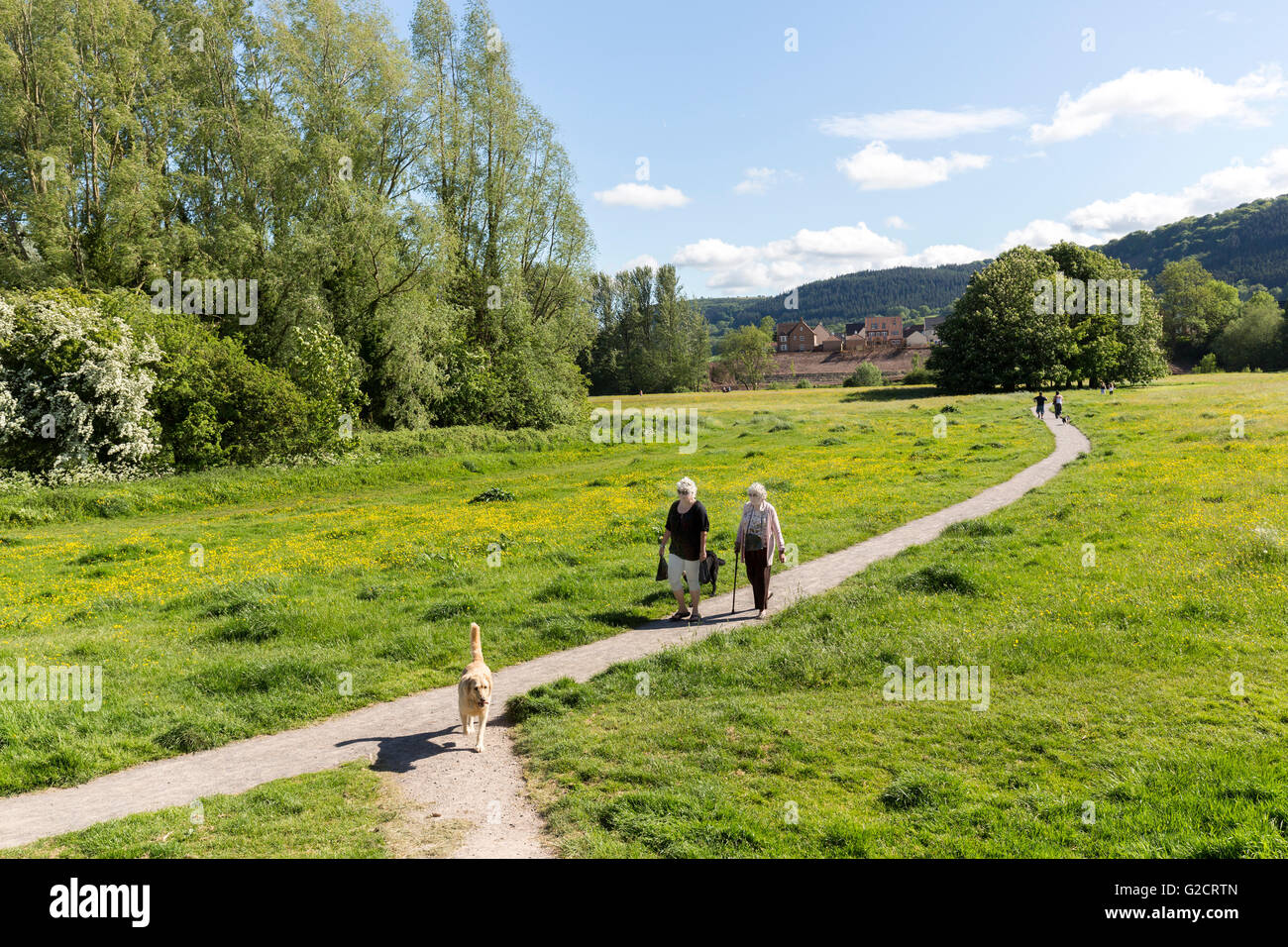 People walking on footpath across Castle Meadows, Abergavenny, Wales, UK Stock Photo