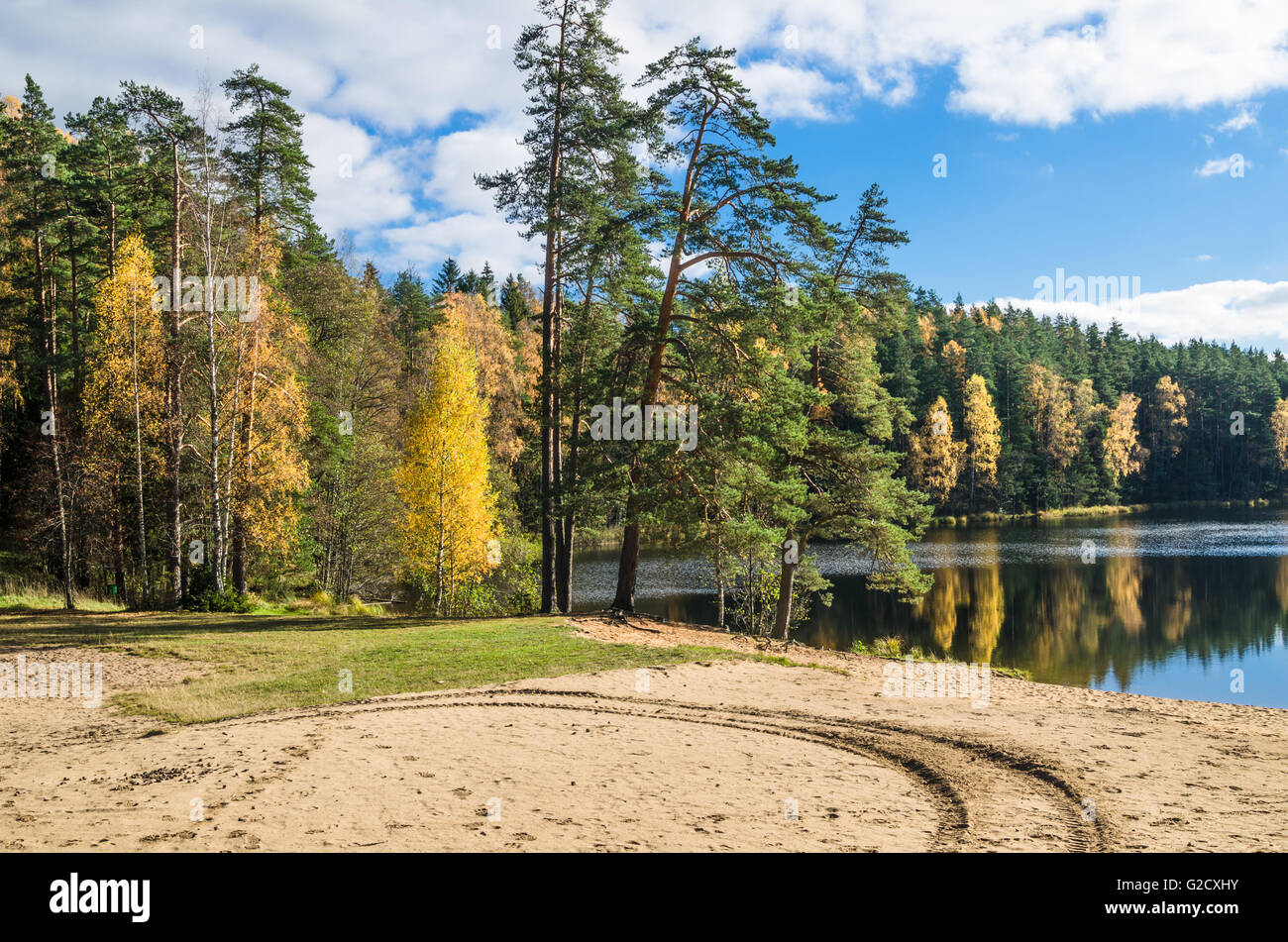 Beautiful landscape lake forest hi-res stock photography and images - Alamy