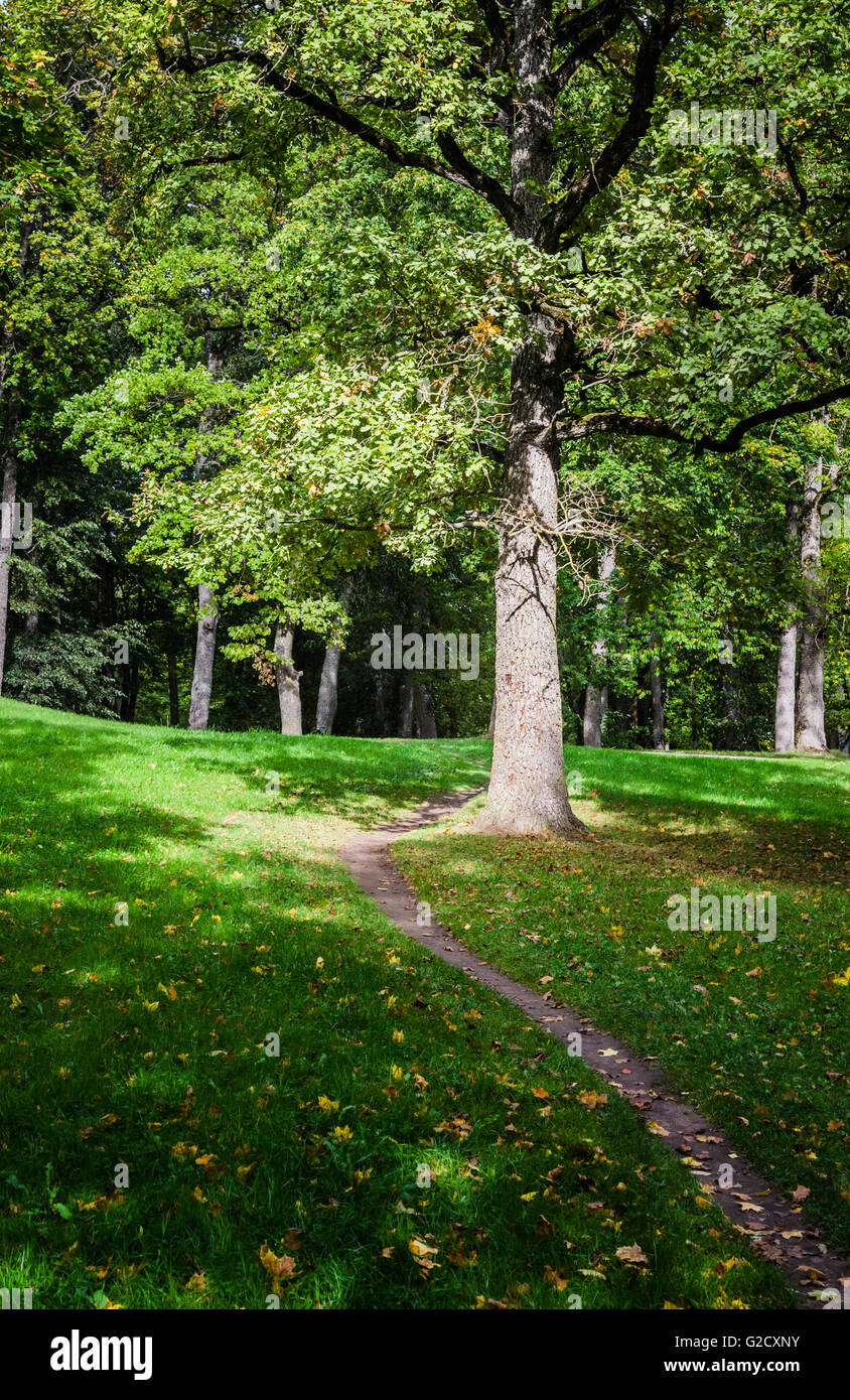 Footpath in old park, an autumn landscape Stock Photo