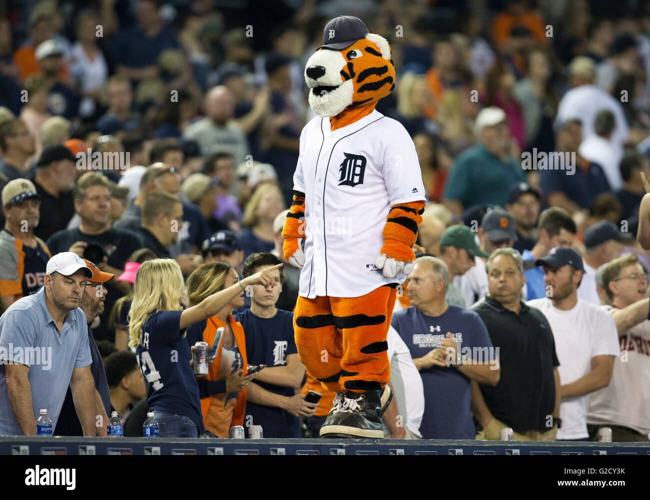 Detroit, Michigan, USA. 24th May, 2016. Detroit Tigers mascot Paws performs  during 7th inning stretch of MLB game action between the Philadelphia  Phillies and the Detroit Tigers at Comerica Park in Detroit