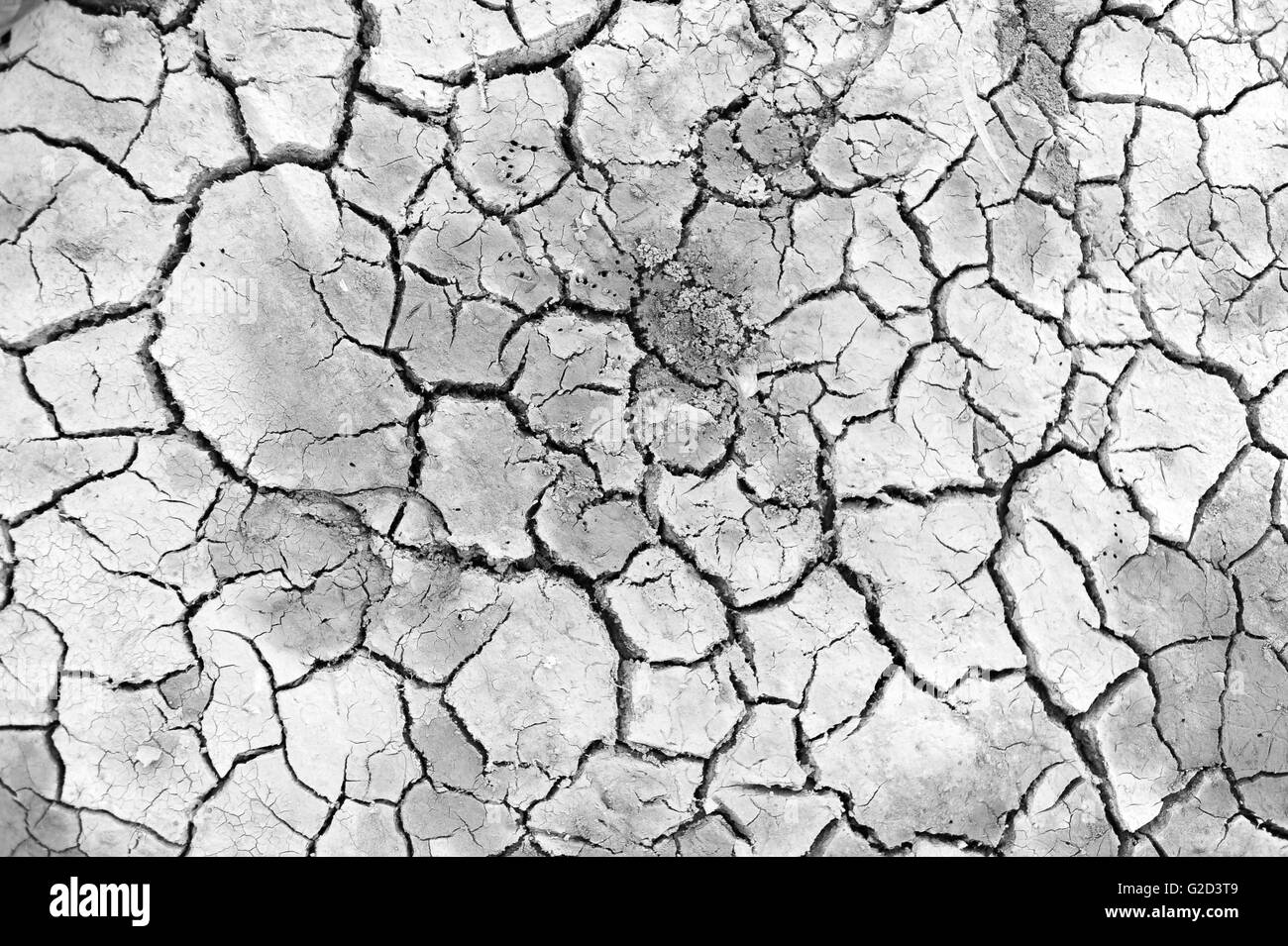 Dry land. Cracked ground background and texture. Stock Photo