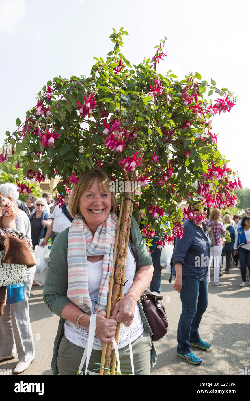 London, UK. 28 May 2016. On the last day of Chelsea Flower Show visitors take home plants and flowers they managed to purchase as the show closes. Credit:  Vibrant Pictures/Alamy Live News Stock Photo