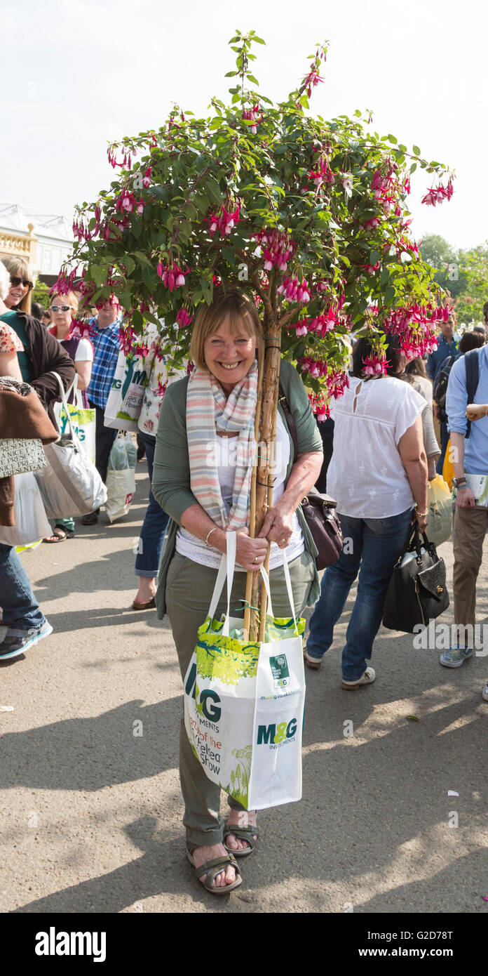 London, UK. 28 May 2016. On the last day of Chelsea Flower Show visitors take home plants and flowers they managed to purchase as the show closes. Credit:  Vibrant Pictures/Alamy Live News Stock Photo