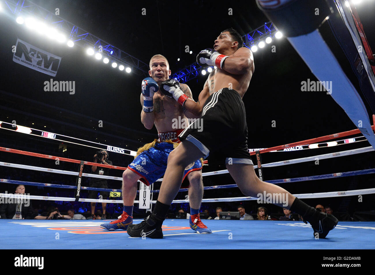 May 28, 2016; Clay Burns (blue trunks) and Isaac Avalos (black trunks) box during their lightweight boxing match at Gila River Arena in Glendale, AZ. Burns won via second round TKO. Joe Camporeale/Cal Sport Media Stock Photo