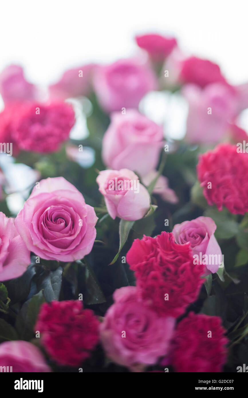 Bouquet of Pink Roses Stock Photo - Alamy