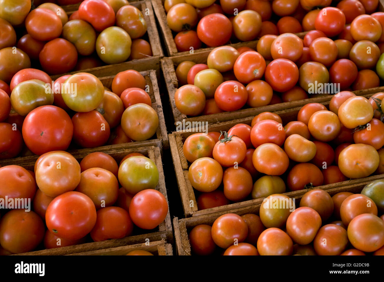 Crates of Tomatoes Stock Photo