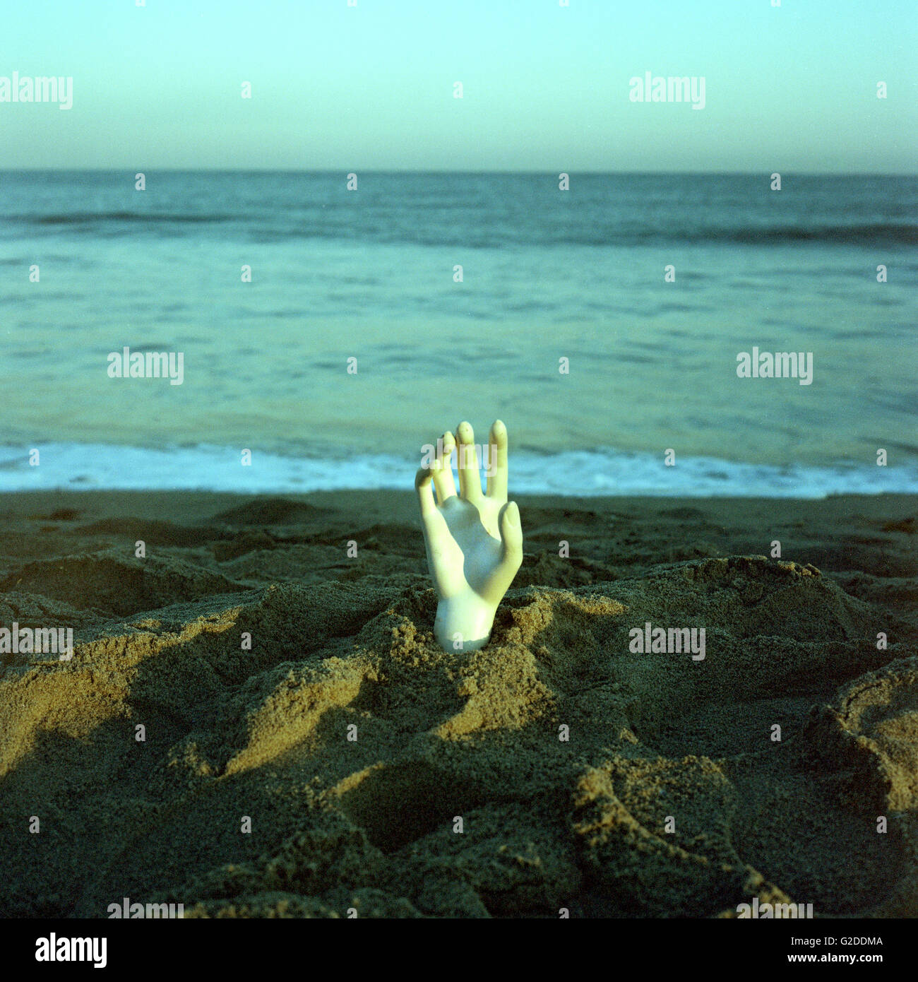 Mannequin Hand in Beach Sand with Ocean in Background Stock Photo Alamy