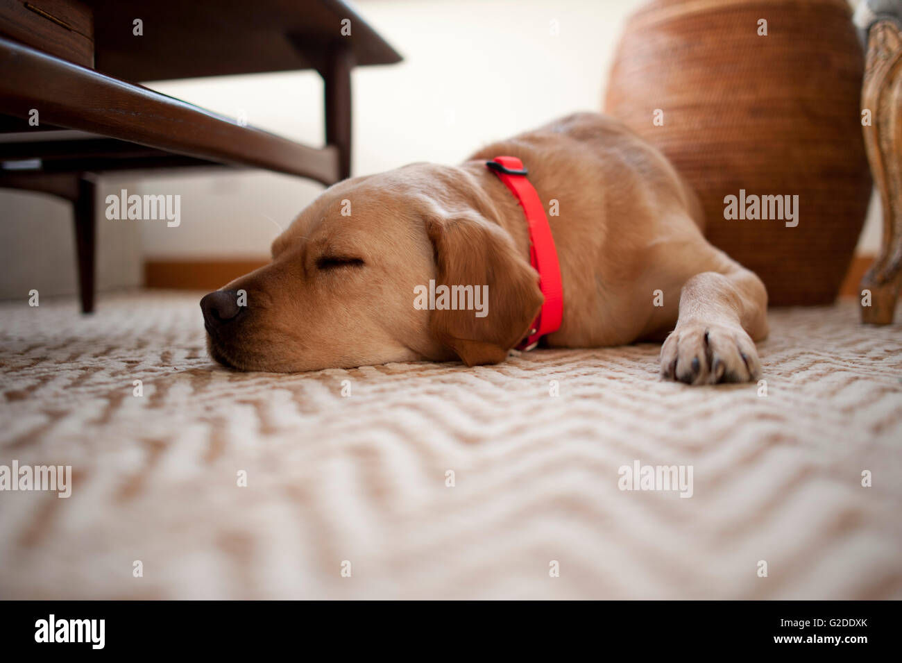 Sleeping rug hi-res stock photography and images - Alamy