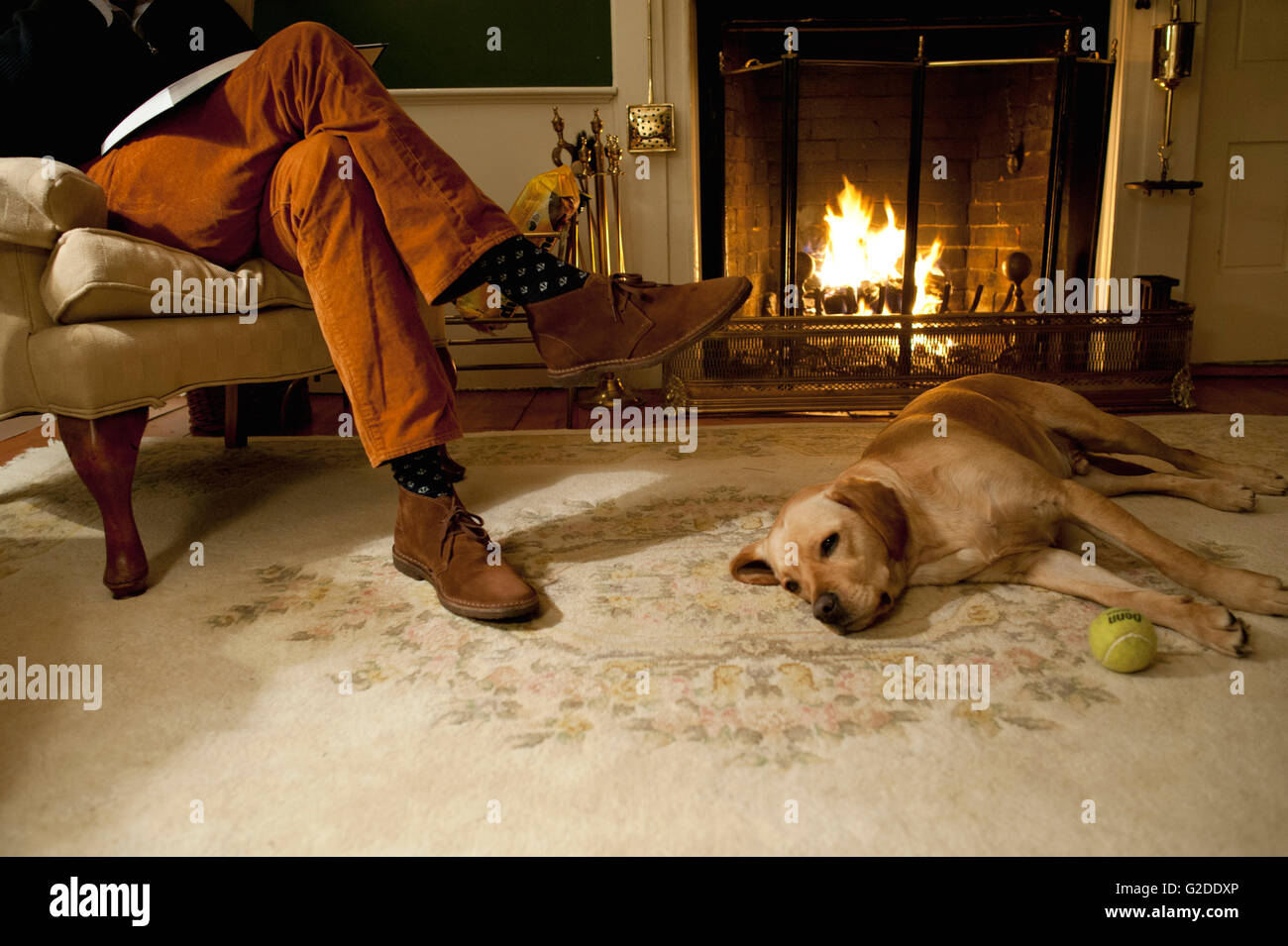 Dog Laying at Man's Feet by Fireplace Stock Photo