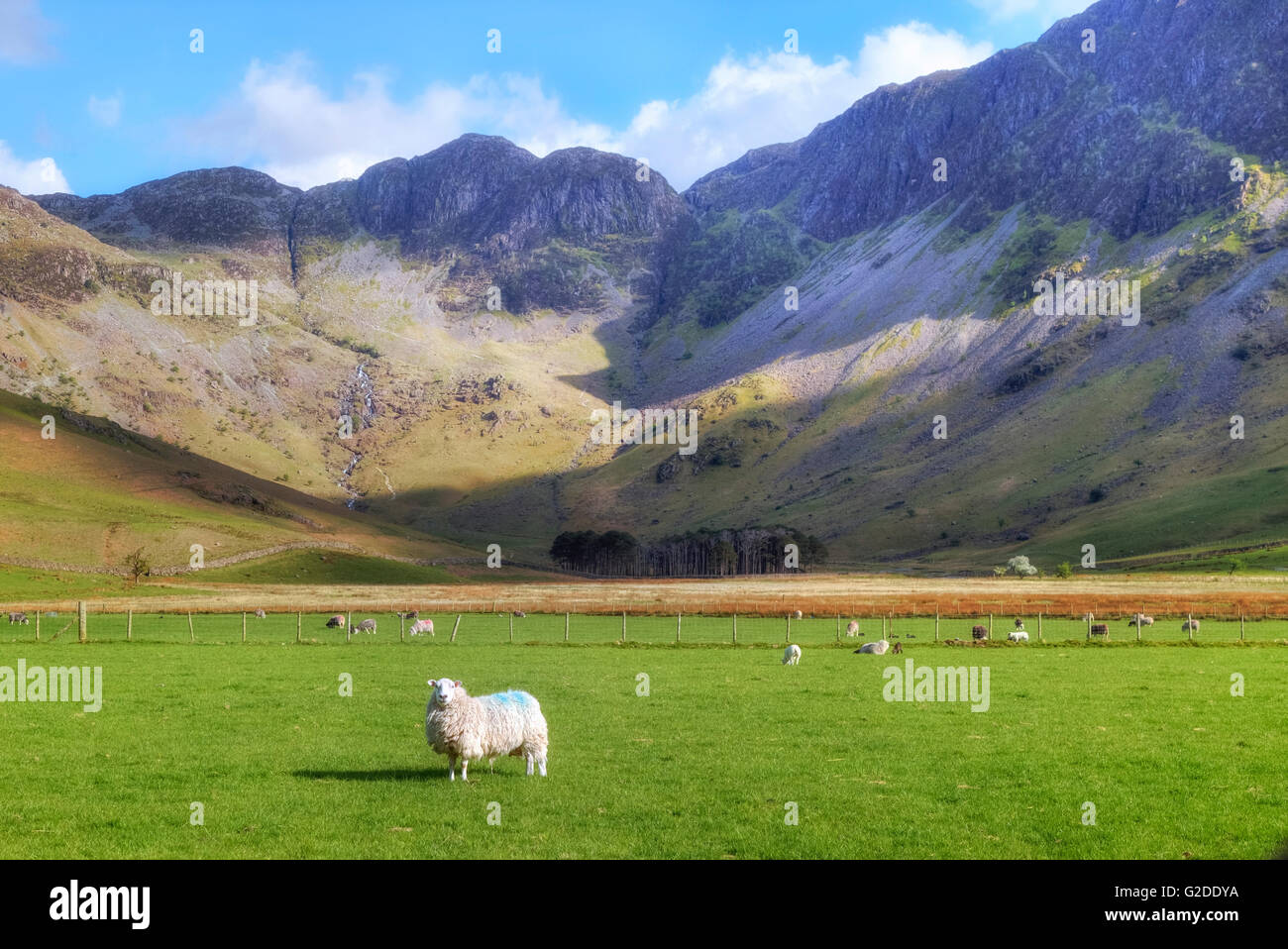 Buttermere, Lake District, Cumbria, England, UK Stock Photo