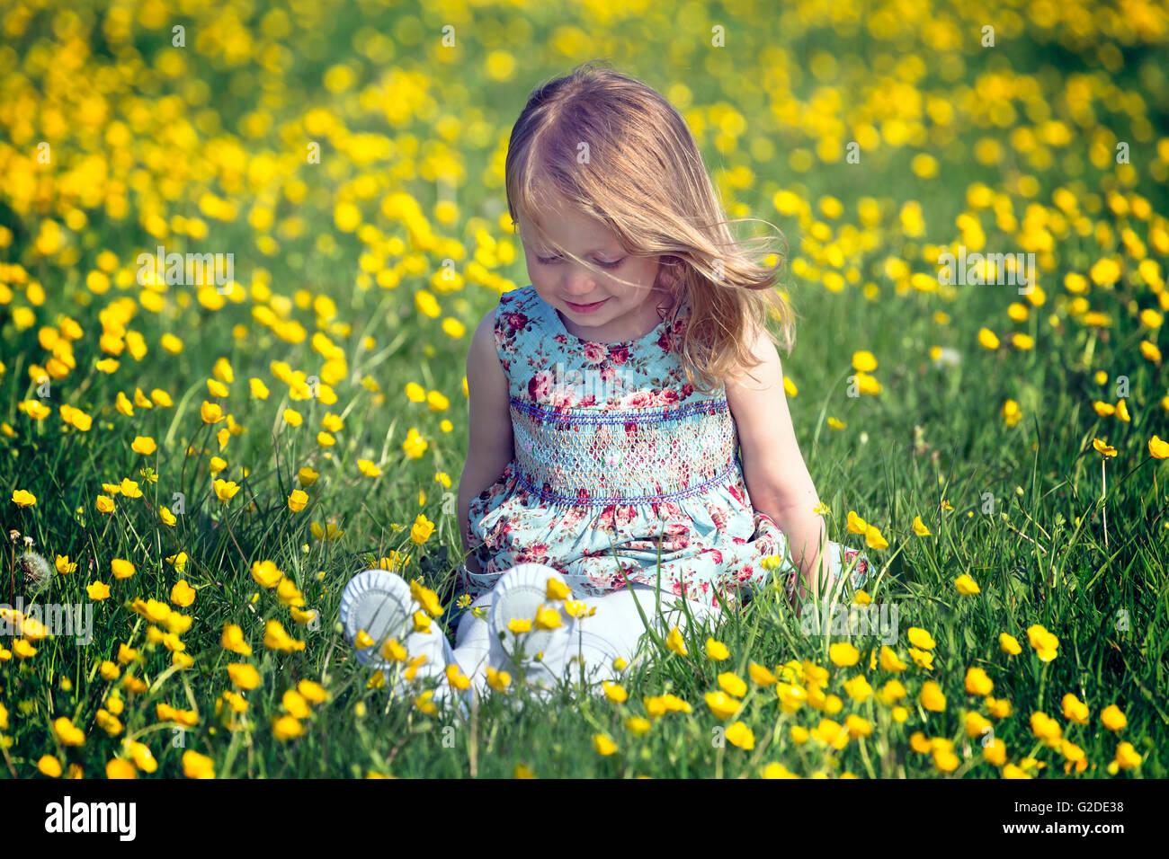 3 year old girl - Stock Image - C047/8119 - Science Photo Library