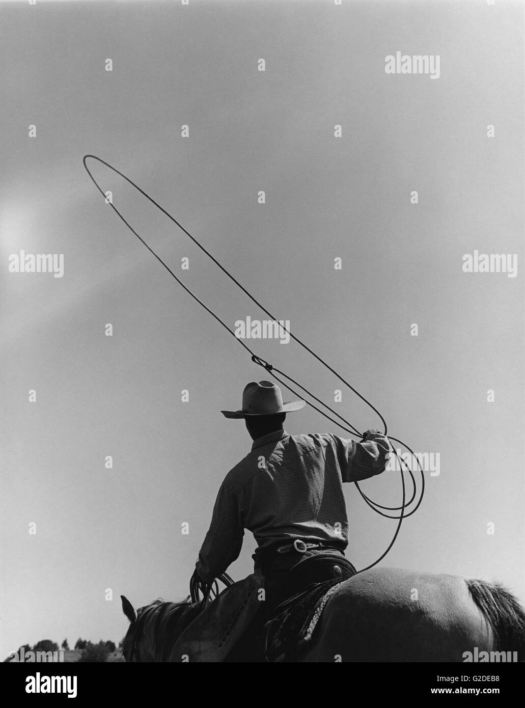 Cowboy With Lasso Stock Photo