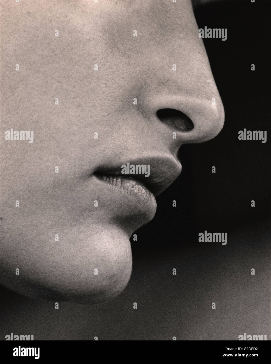 Classic Profile of Young Adult Woman Stock Photo Alamy