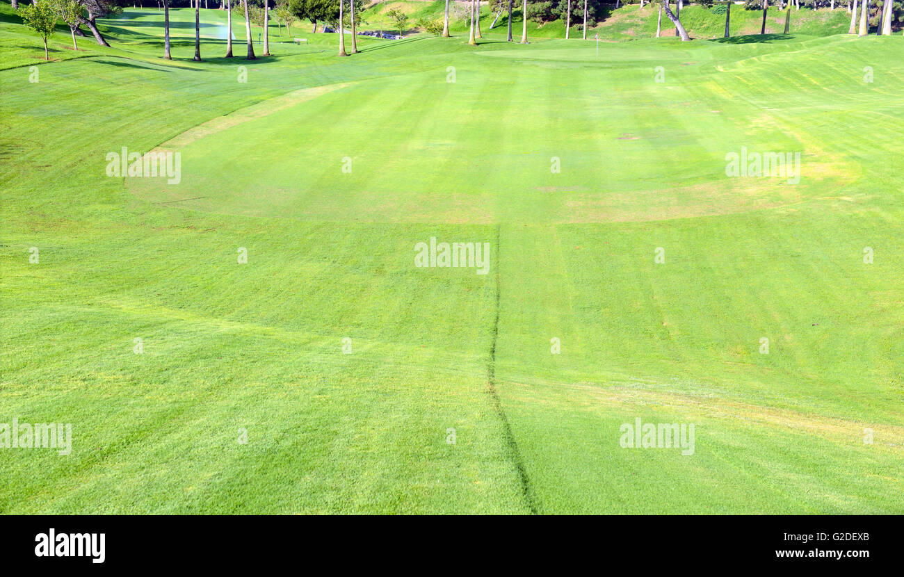 Green grass and fairway on golf course Stock Photo - Alamy