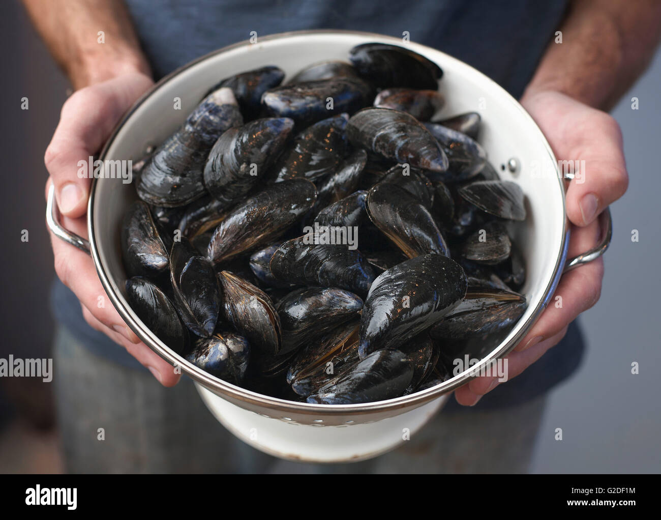 Hands Holding Bowl of Mussels Stock Photo