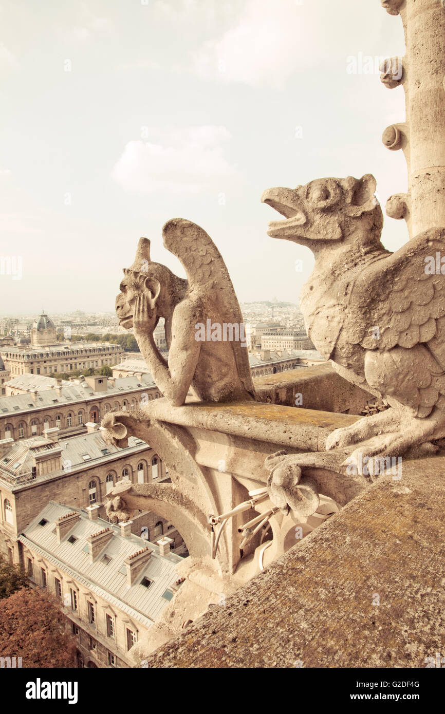 Stone Gargoyle Detail, Notre Dame, Paris, France Stock Photo