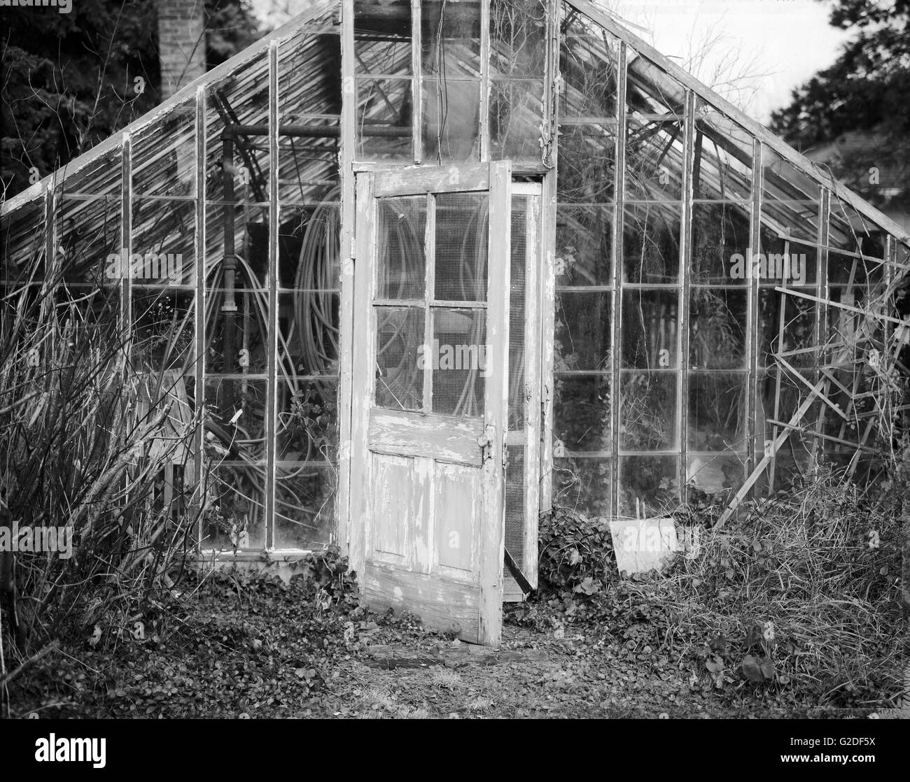Greenhouse Black and White Stock Photos & Images Alamy