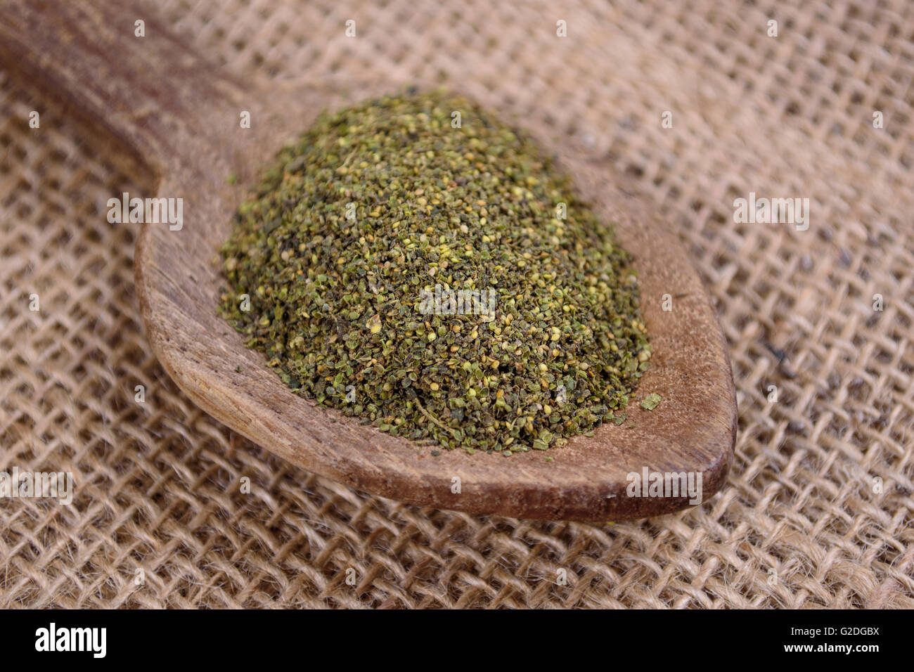 Nettle seeds Stock Photo 104789774 Alamy