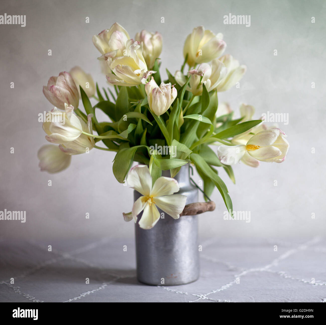 Still Life with pastel Tulips in on Milkcan Stock Photo - Alamy