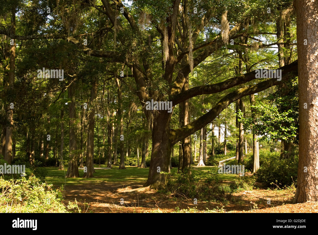 Edisto Memorial Gardens Orangeburg South Carolina USA Stock Photo Alamy