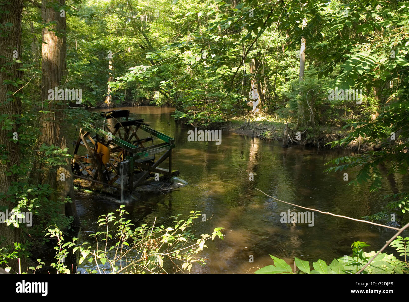 Edisto Memorial Gardens Orangeburg South Carolina USA Stock Photo Alamy