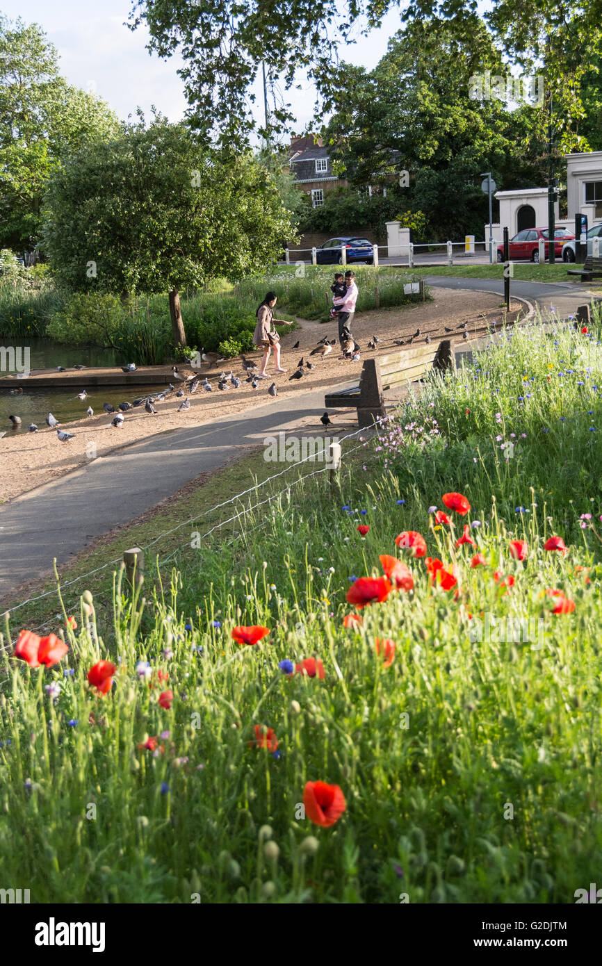 A family surrounded by an urban idyll of wildflowers in London, England