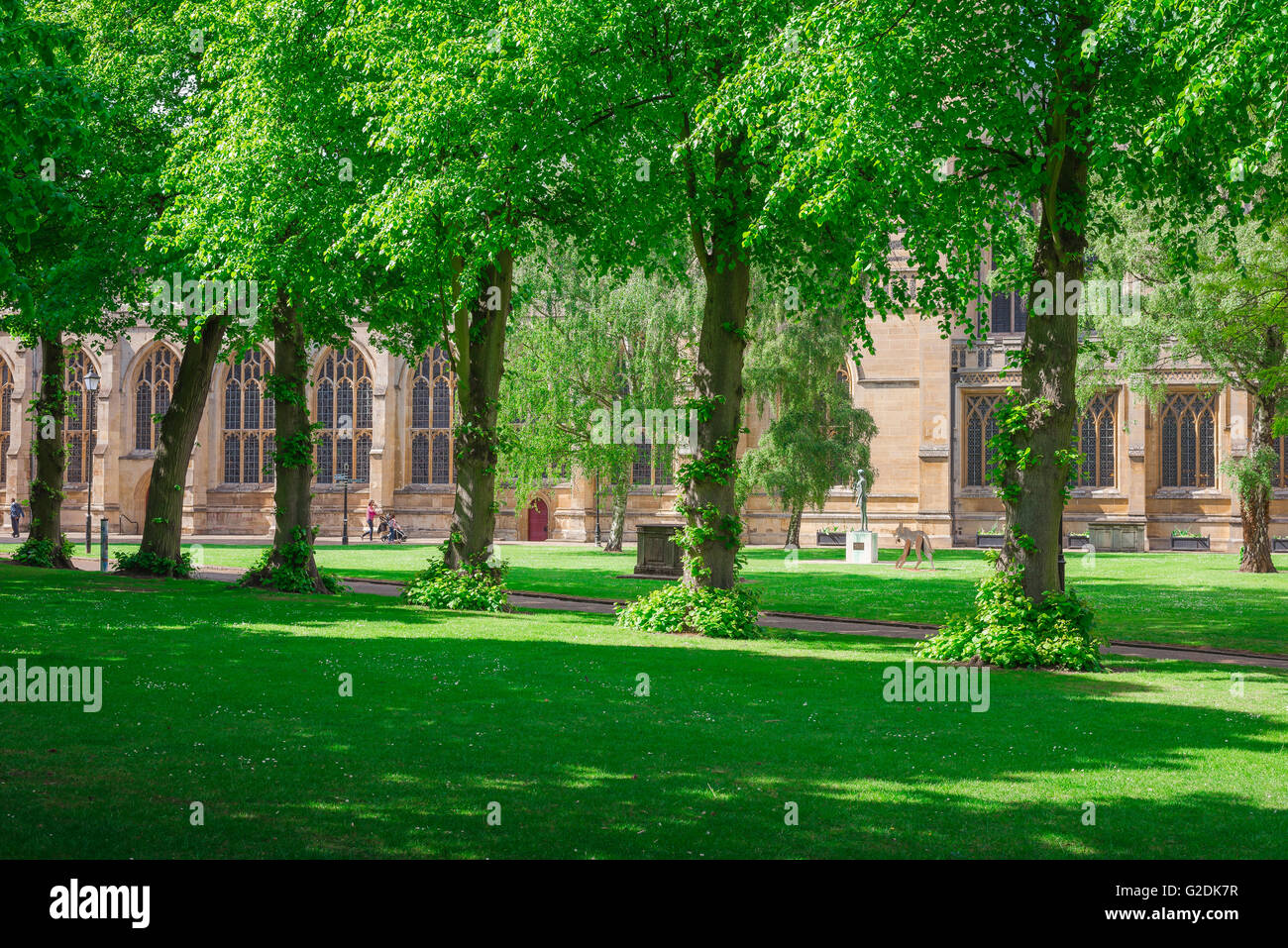 Bury St Edmunds cathedral, view in summer of the south wall of the
