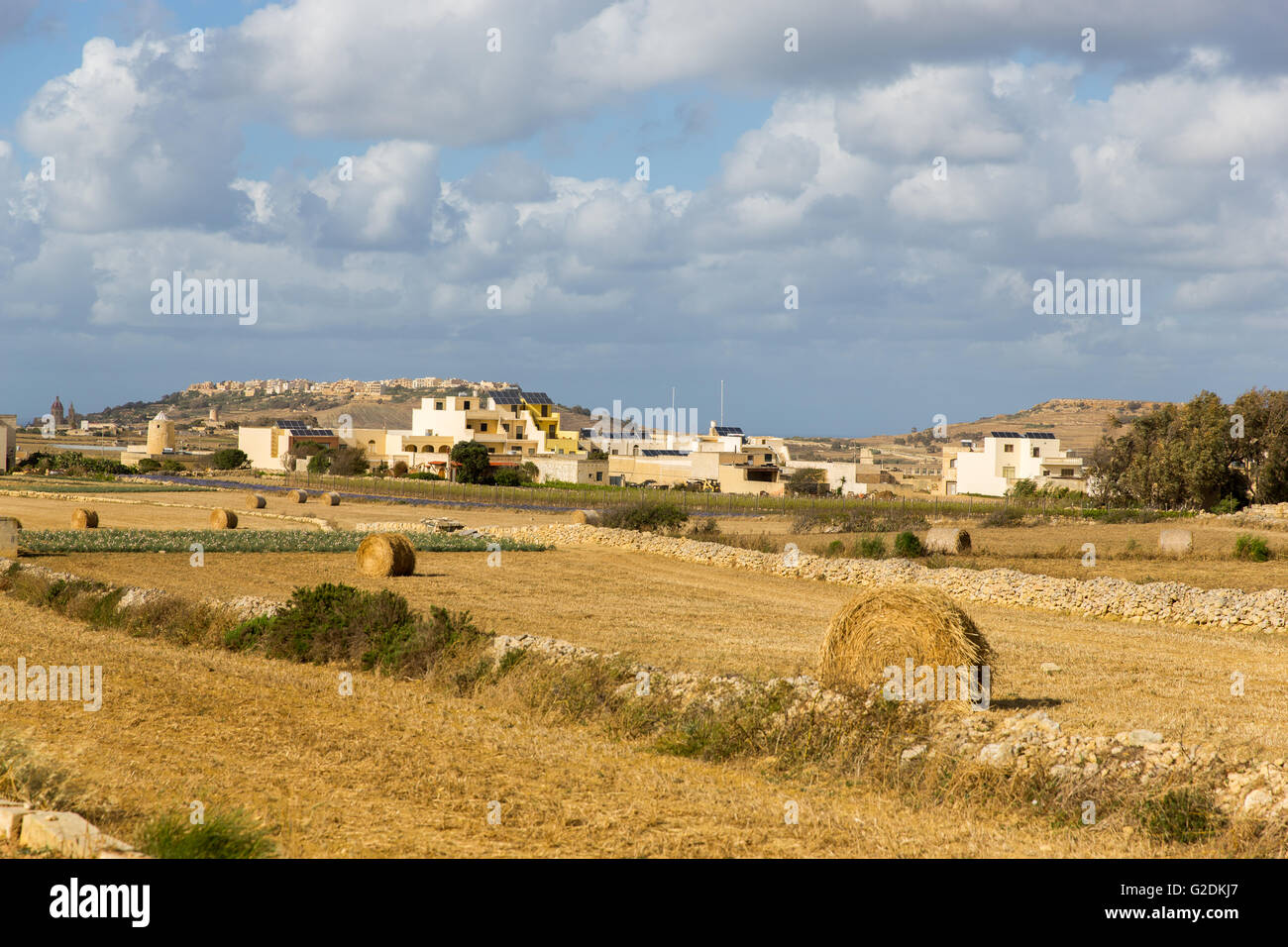 A Maltese farm field on the Island of Gozo Stock Photo Alamy