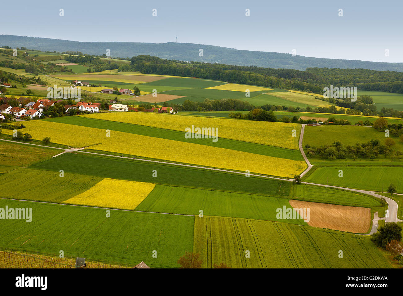 Vineyards in South West Germany Stock Photo