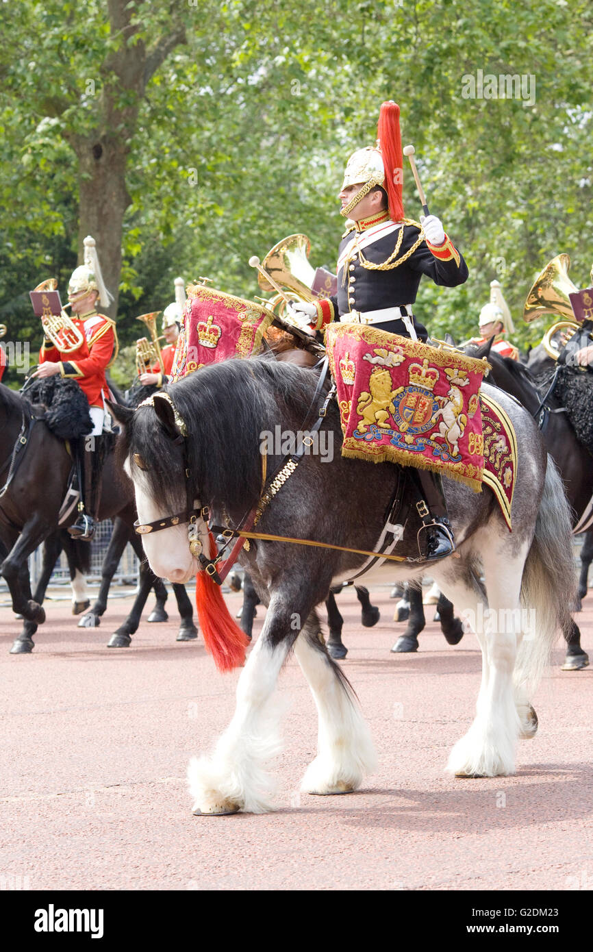 Band of The Household Cavalry, Blues and Royals and Life guards, Royal Horse Guards Stock Photo