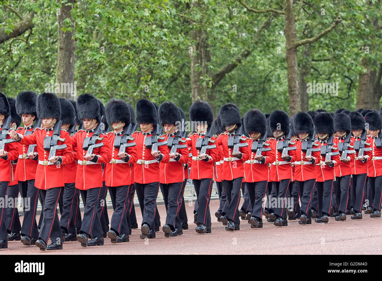 Queens company review hi res stock photography and images Alamy