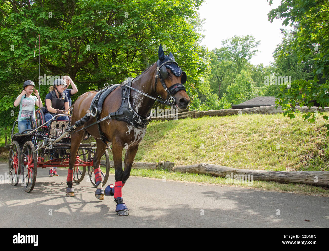 Horse carriage coach hires stock photography and images Alamy