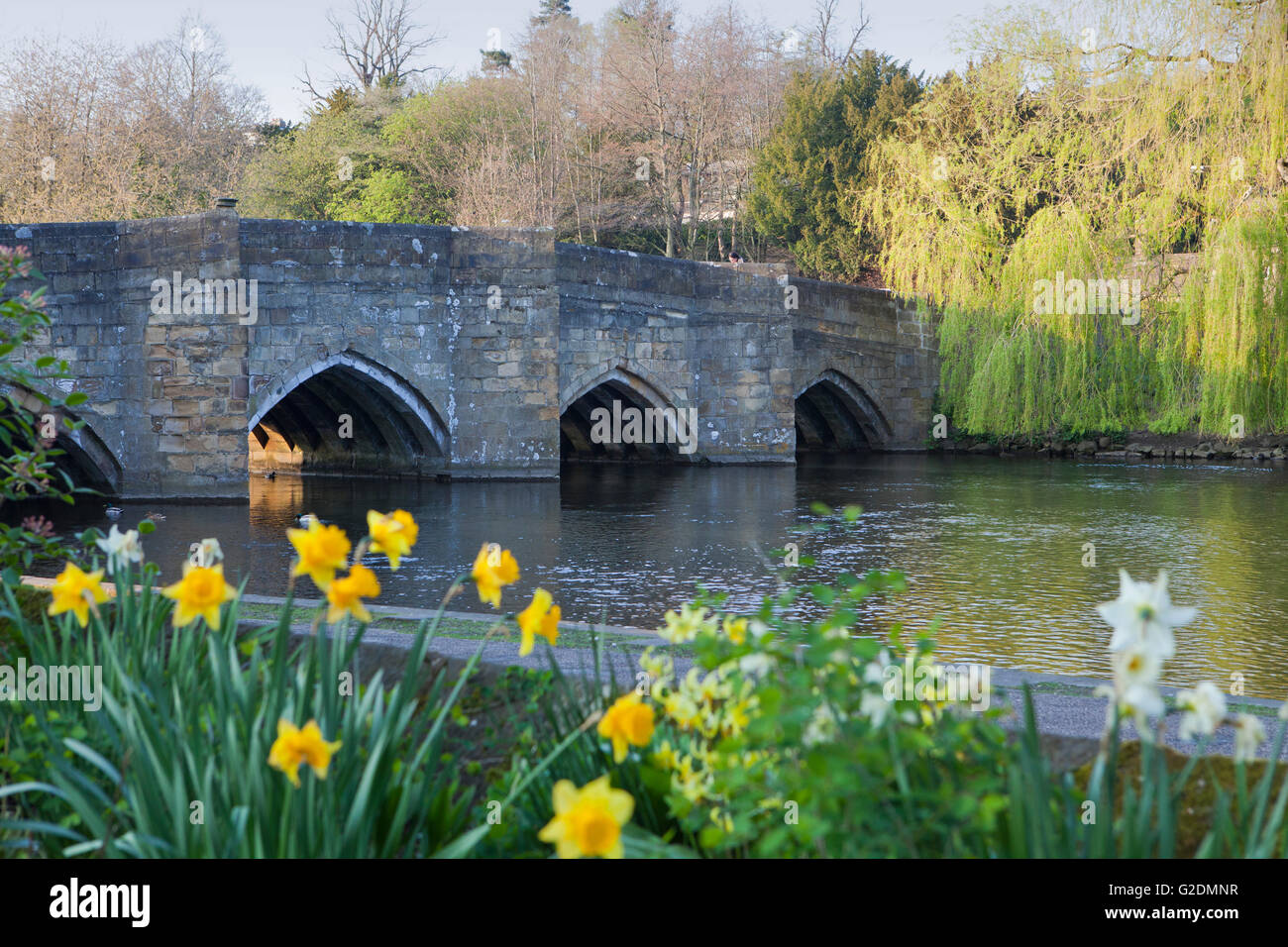 The ancient (12th Century) Road Bridge which spans the River Wye at Bakewell, Derbyshire. Stock Photo