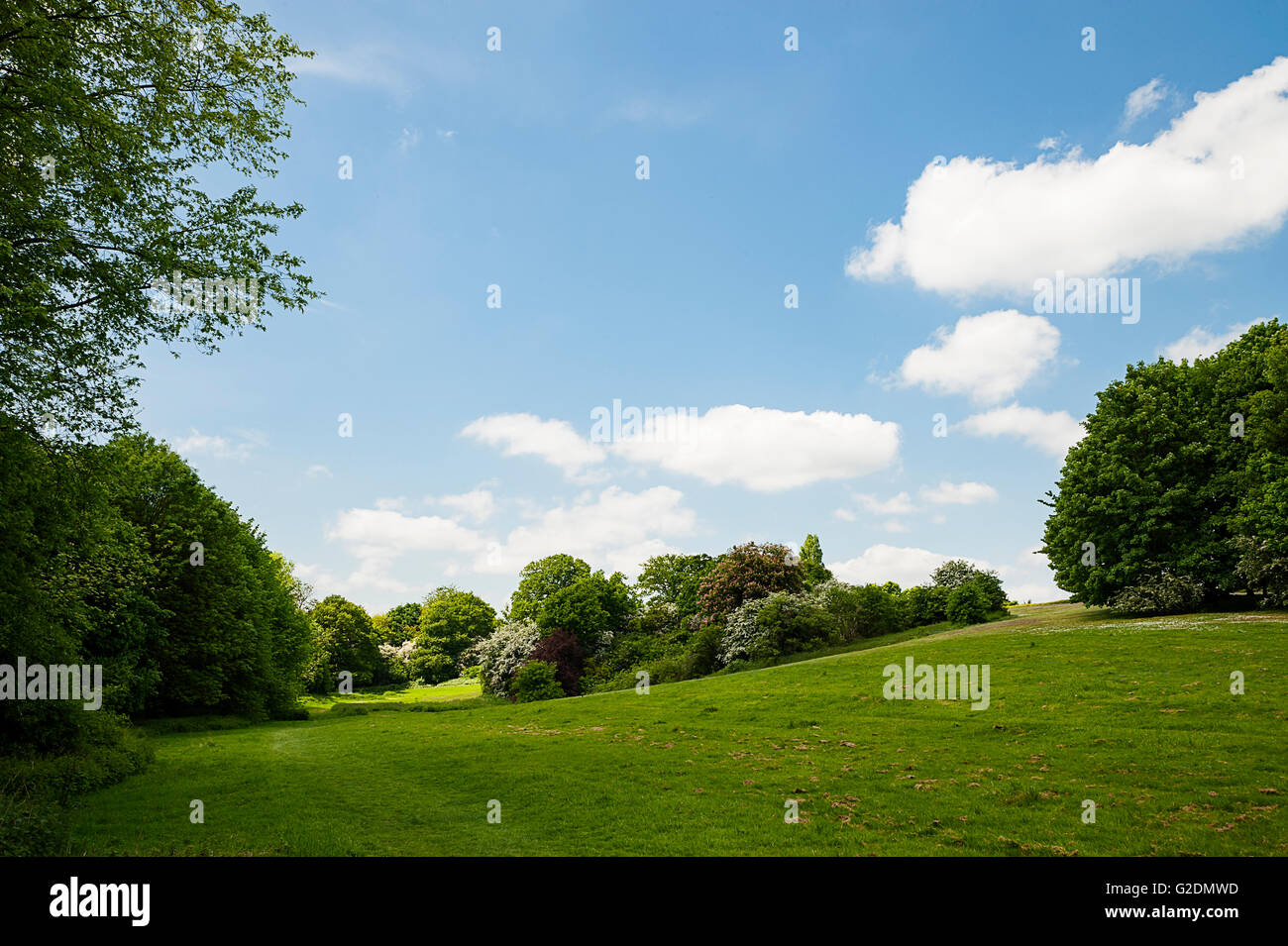 Local Welwyn Garden City Park and Lagoon Stock Photo