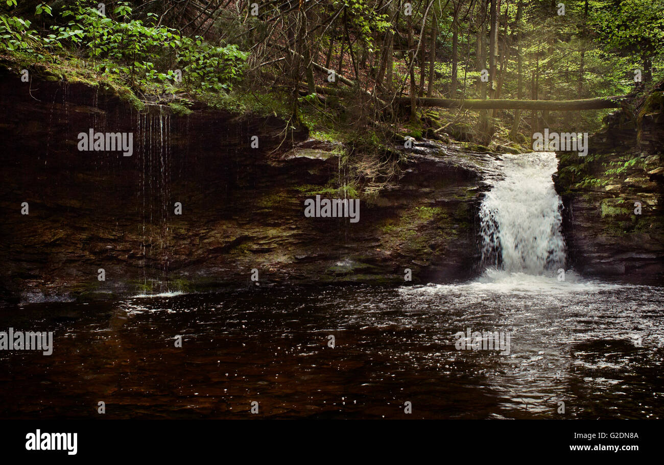 Small Waterfall and Swimming Hole Stock Photo