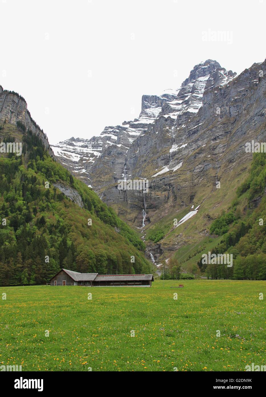 Green meadow and high mountain in the Kloental valley. Stock Photo